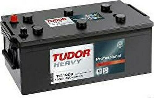 Tudor Heavy Professional