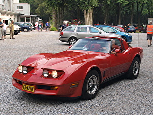 Размер колёс на Chevrolet Corvette 1980 Подбор шин на Chevrolet Corvette 1980