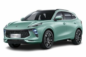 Подбор шин на Forthing T5 EVO 2024