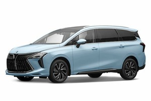 Подбор шин на Forthing U-Tour M4 Yacht 2024