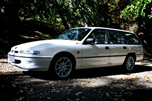 Размер колёс на Holden Commodore 1995 Подбор шин на Holden Commodore 1995