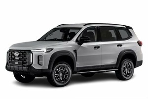 Reifen- und Felgenauswahl für das Fahrzeug LDV D90. Reifen für den LDV Reifen- und Felgenauswahl für das Fahrzeug LDV D90. Шины на LDV