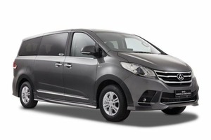 Подбор шин на LDV G10 2025