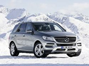 Подбор шин и дисков для автомобиля Mercedes M-Class. Шины на Mercedes Подбор шин и дисков для автомобиля Mercedes M-Class. Шины на Mercedes