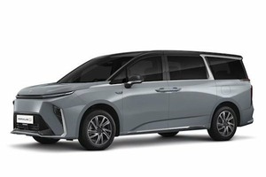 Размер колёс на MG Maxus 9 2022 Подбор шин на MG Maxus 9 2022