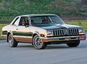Размер колёс на Pontiac Grand AM 1980 Подбор шин на Pontiac Grand AM 1980
