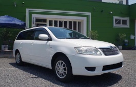 Размер колёс на Toyota Corolla Fielder 2004 Подбор шин на Toyota Corolla Fielder 2004