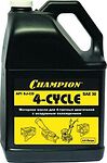 Champion 4-Cycle 30 Champion 4-Cycle 30