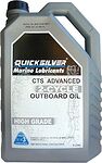 Quicksilver CTS Advanced 2-Cycle Quicksilver CTS Advanced 2-Cycle