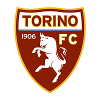 Zusammenarbeit mit Torino FC