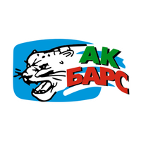 Zusammenarbeit mit Ak Bars, Bars and Irbis