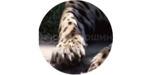 Technologie Эргономичный дизайн
