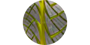 Technologie Zickzackfurchen