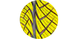 Technologie Sportdesign