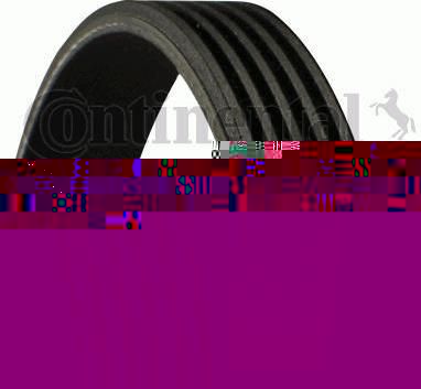 Contitech 5PK825 поликлиновой ремень на TOYOTA COROLLA купе (AE86)