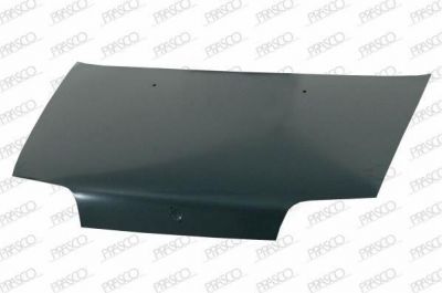 Prasco FT1323100 капот двигателя на FIAT PUNTO (176)