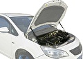 RIVAL RIVAL A.ST.4201.1 Амортизаторы капота RIVAL (2 шт.) Opel Astra 2010-2015 (A.ST.4201.1) RIVAL RIVAL A.ST.4201.1 Амортизаторы капота RIVAL (2 шт.) Opel Astra 2010-2015 (A.ST.4201.1)