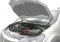 RIVAL RIVAL A.ST.4702.1 Амортизаторы капота Renault Sandero/Stepway (2007-2014/2009 -2016) (A.ST.4702.1)