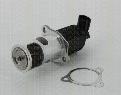 TRISCAN 8813 25038 клапан возврата ог на NISSAN ALMERA II (N16)
