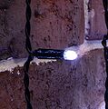 NEON-NIGHT 235-165 Гирлянда светодиодная Занавес 2х6м 768 LED БЕЛЫЙ черный ПВХ IP65 постоянное свечение 230В нужен блок 303-500 NEON-NIGHT NEON-NIGHT 235-165 Гирлянда светодиодная Занавес 2х6м 768 LED БЕЛЫЙ черный ПВХ IP65 постоянное свечение 230В нужен блок 303-500 NEON-NIGHT