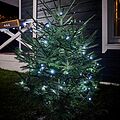 NEON-NIGHT 303-135 Гирлянда Нить управляемая 10м 100 LED БЕЛЫЙ черный ПВХ IP65 свечение с динамикой 230В нужен контроллер 217-204 NEON-NIGHT NEON-NIGHT 303-135 Гирлянда Нить управляемая 10м 100 LED БЕЛЫЙ черный ПВХ IP65 свечение с динамикой 230В нужен контроллер 217-204 NEON-NIGHT