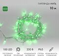 NEON-NIGHT 305-184 Гирлянда светодиодная Нить 10м 100 LED ЗЕЛЕНЫЙ прозрачный ПВХ IP65 постоянное свечение 230В соединяется нужен блок 303-500-1 NEON-NIGHT NEON-NIGHT 305-184 Гирлянда светодиодная Нить 10м 100 LED ЗЕЛЕНЫЙ прозрачный ПВХ IP65 постоянное свечение 230В соединяется нужен блок 303-500-1 NEON-NIGHT