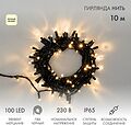NEON-NIGHT 305-276 Гирлянда светодиодная Нить 10м 100 LED ТЕПЛЫЙ БЕЛЫЙ черный ПВХ IP65 эффект мерцания 230В соединяется нужен блок 303-500 NEON-NIGHT NEON-NIGHT 305-276 Гирлянда светодиодная Нить 10м 100 LED ТЕПЛЫЙ БЕЛЫЙ черный ПВХ IP65 эффект мерцания 230В соединяется нужен блок 303-500 NEON-NIGHT