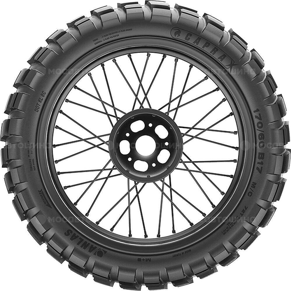 Seitenansicht Anlas Capra-X 150/70 B17 69Q (Задняя)