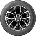 Autogreen Tourchaser TC1 Autogreen Tourchaser TC1