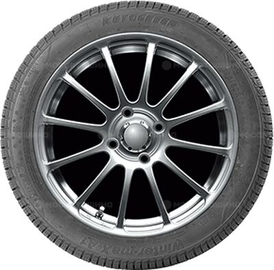 Autogreen Winter-Max A1-WL5 215/50 R17 95V XL