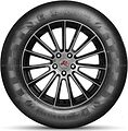 Doublestar DS01 265/70 R17 115H 