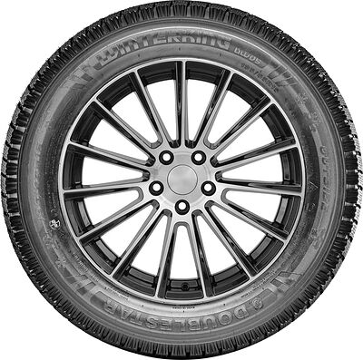 Doublestar DW05 185 R14C 102/100R