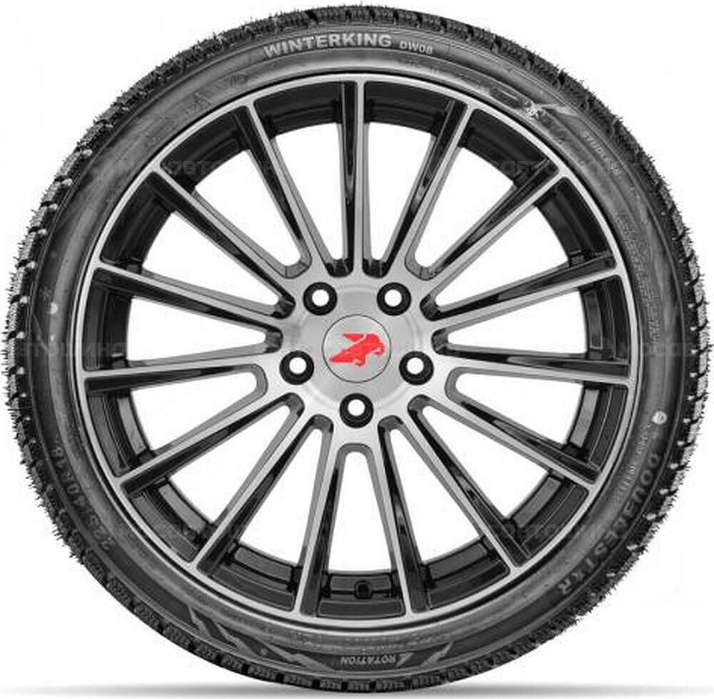 Seitenansicht Doublestar DW08 205/55 R16 91T