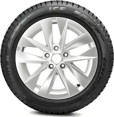 Formula Ice 205/55 R16 91T