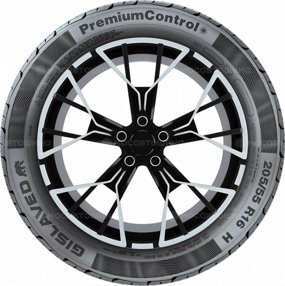 Seitenansicht Gislaved Premiumcontrol 195/55 R16 91V XL