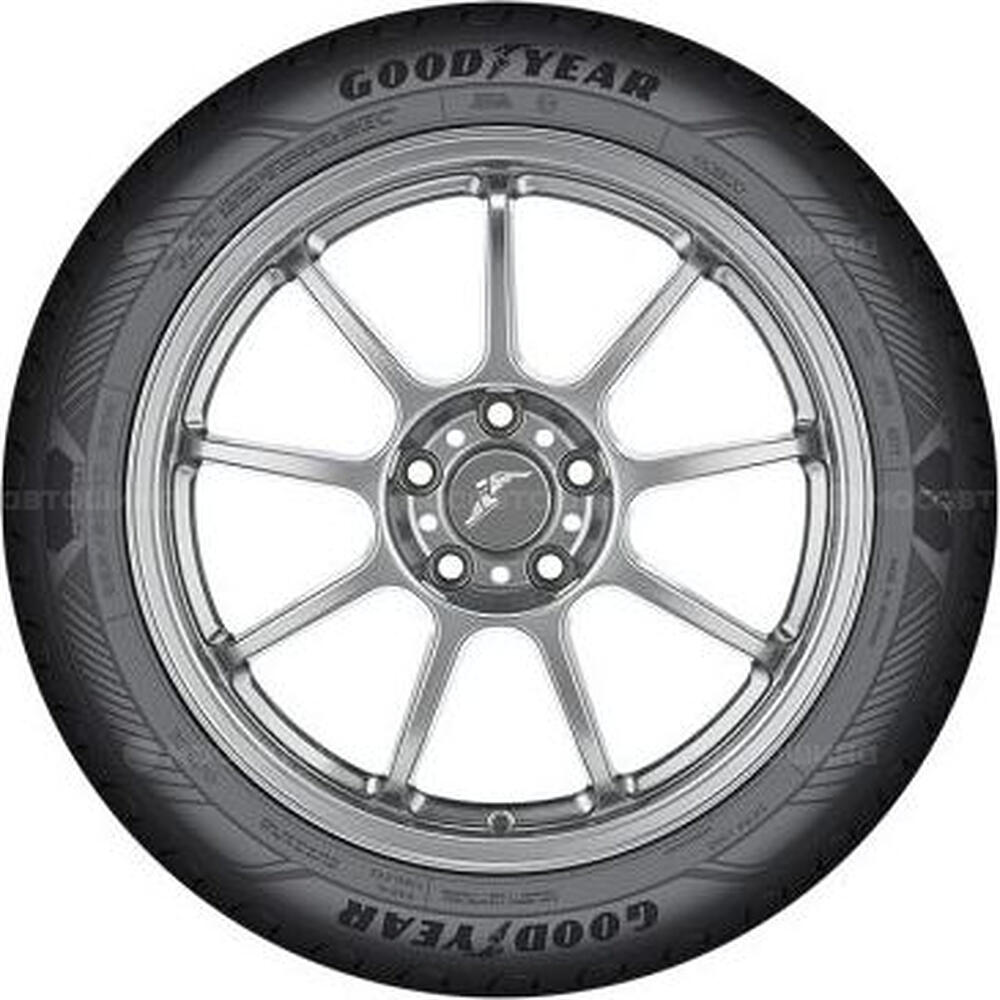 Seitenansicht Goodyear EfficientGrip Performance 2 205/55 R19 97V XL
