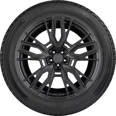 Gripmax Grip Ice X 175/65 R15 84Q 