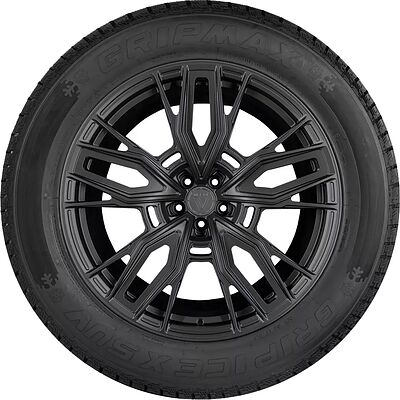 Gripmax Grip Ice X SUV 145 R12C