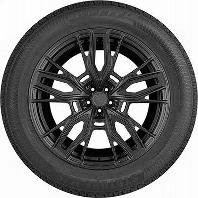 Gripmax Stature M/S 295/30 R22 103V