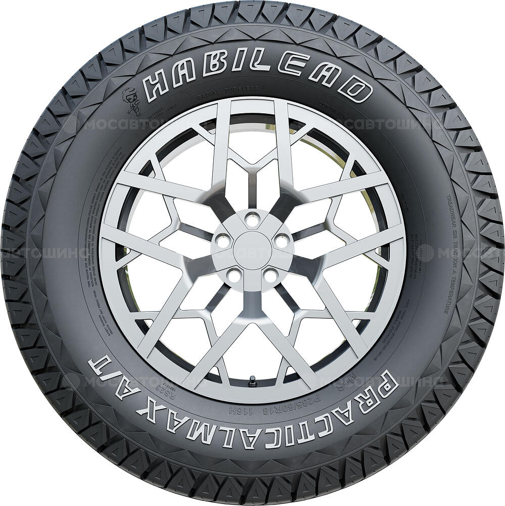 Seitenansicht  Habilead RS23 265/70 R17 121/118S