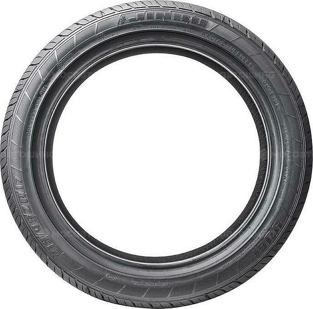 Seitenansicht Jinyu YU61 Gallopro 205/55 R16 91W