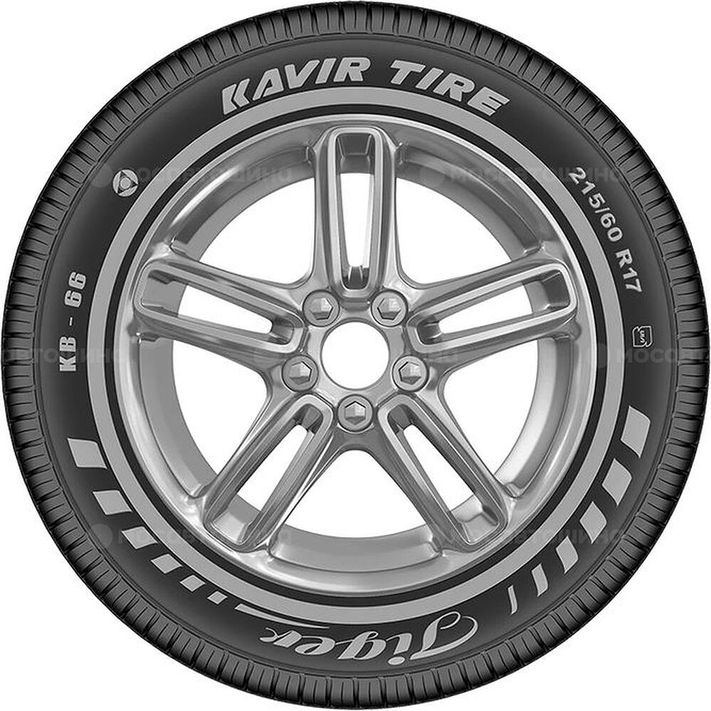 Seitenansicht Kavir Tire KB66 Tiger