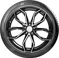 Landspider Sportraxx UHP 255/55 R19 111W XL