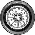 Lassa Competus H/P Lassa Competus H/P