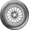 Lassa Competus H/P 2