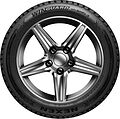 Nexen Winguard Spike 3 245/45 R20 103H XL