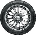 Nexen Winguard Sport 2