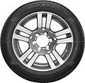 Royal Black Royal Sport Royal Black Royal Sport