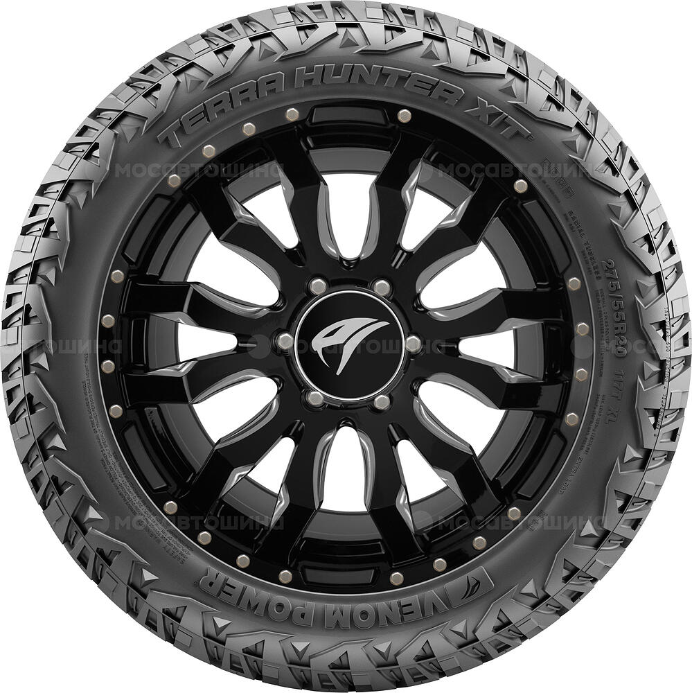 Seitenansicht Venom Power Terra Hunter X/T2