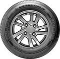 Windforce Advanfors Max